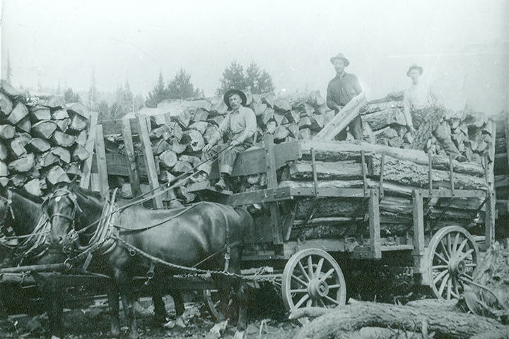 Vintage picture of logging in Truckee