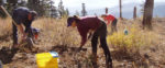 Stewardship Day: Alder Creek Adventure Center (ACAC)