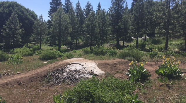 Introducing True Grit - A New Singletrack Trail in Tahoe Donner