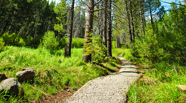 Nature Loop Trail Update