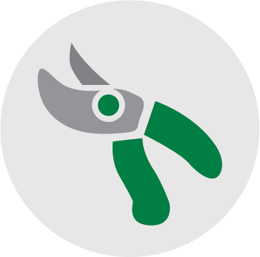 Vegetation Removal Icon