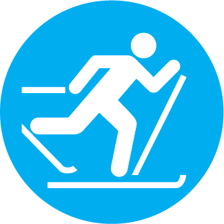 Cross Country Skier Icon