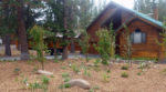 Exterior photo of a home with some recently planted trees