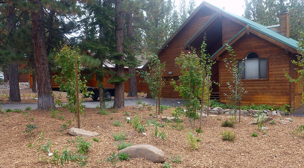 River-Friendly Landscaping Evaluations Offered by the Truckee River Watershed Council