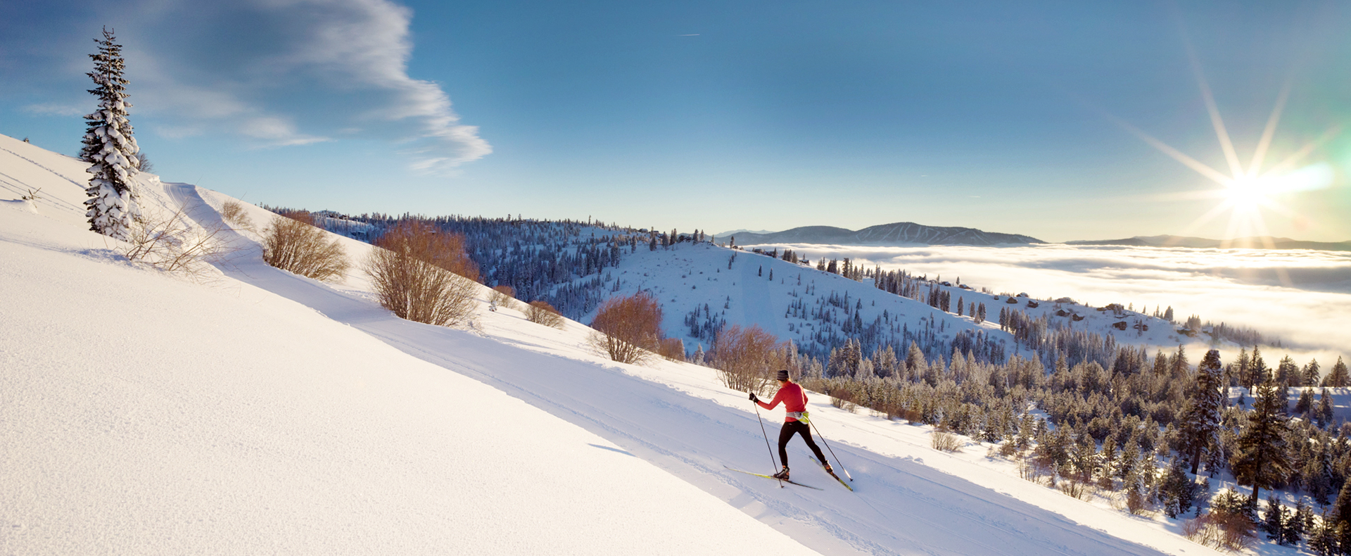 Tahoe Donner Voted Best in N. Lake Tahoe & Truckee 2025