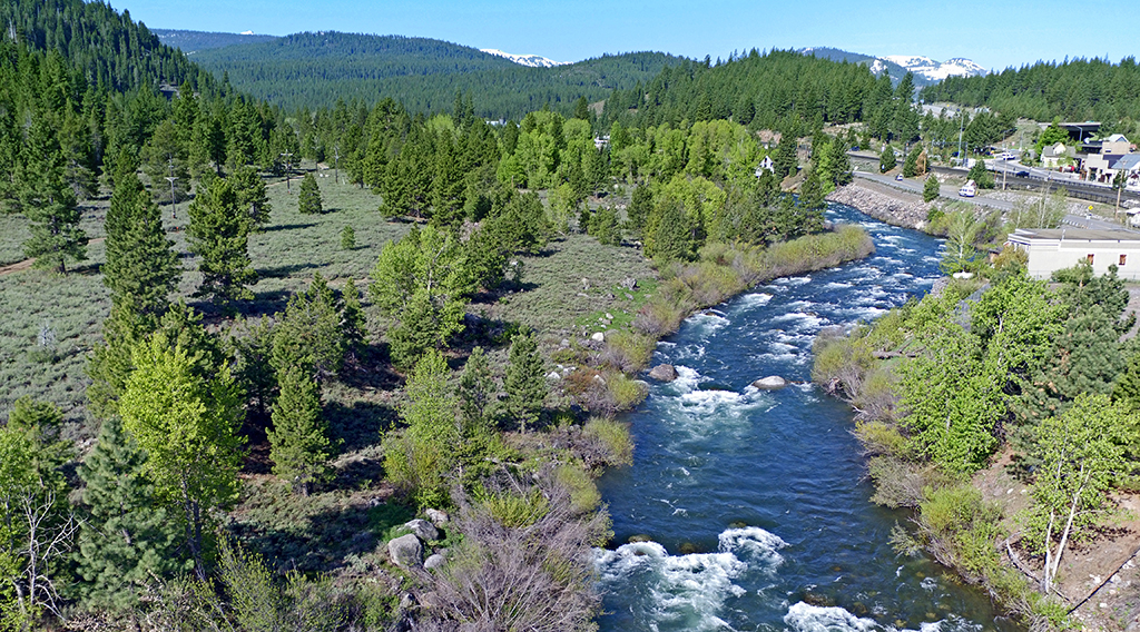 The Wild Side of Downtown Truckee | The Truckee Springs Project