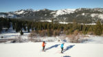 Cross Country Skiers at Tahoe Donner
