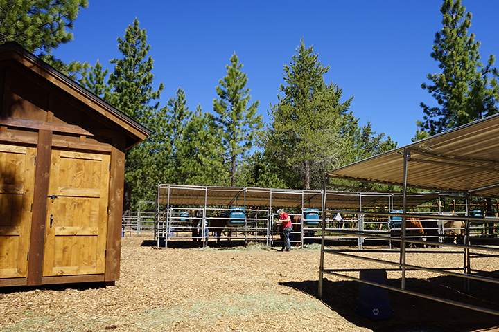 New Equestrian Center horse boarding facilities