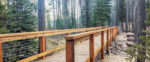 Trout Creek + Nature Loop Project Overview