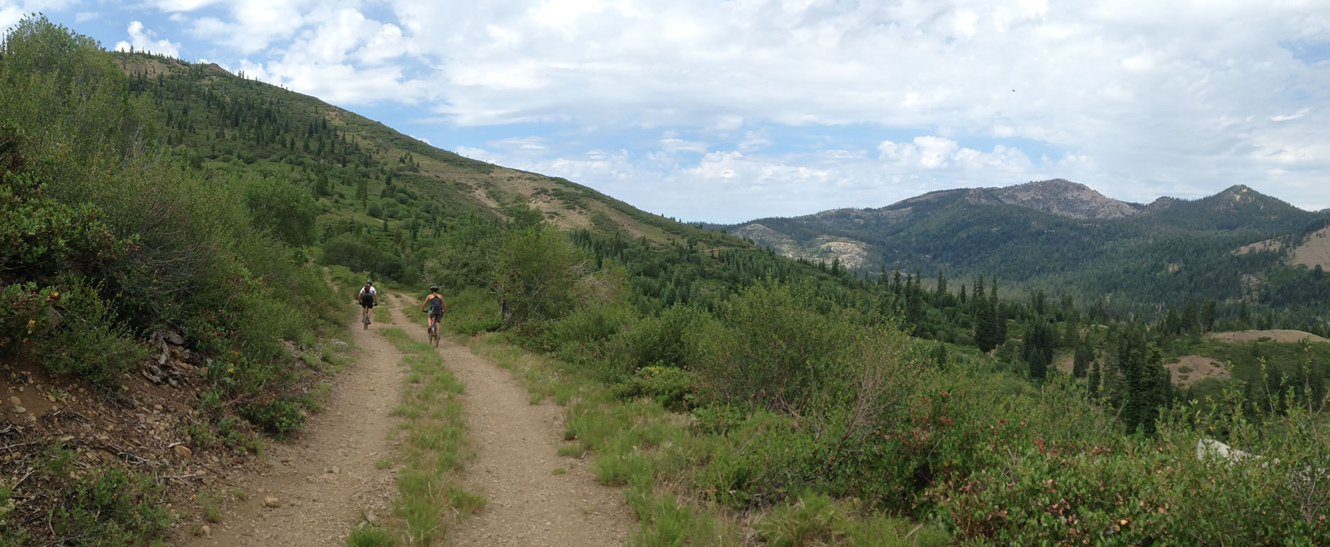 Page header image