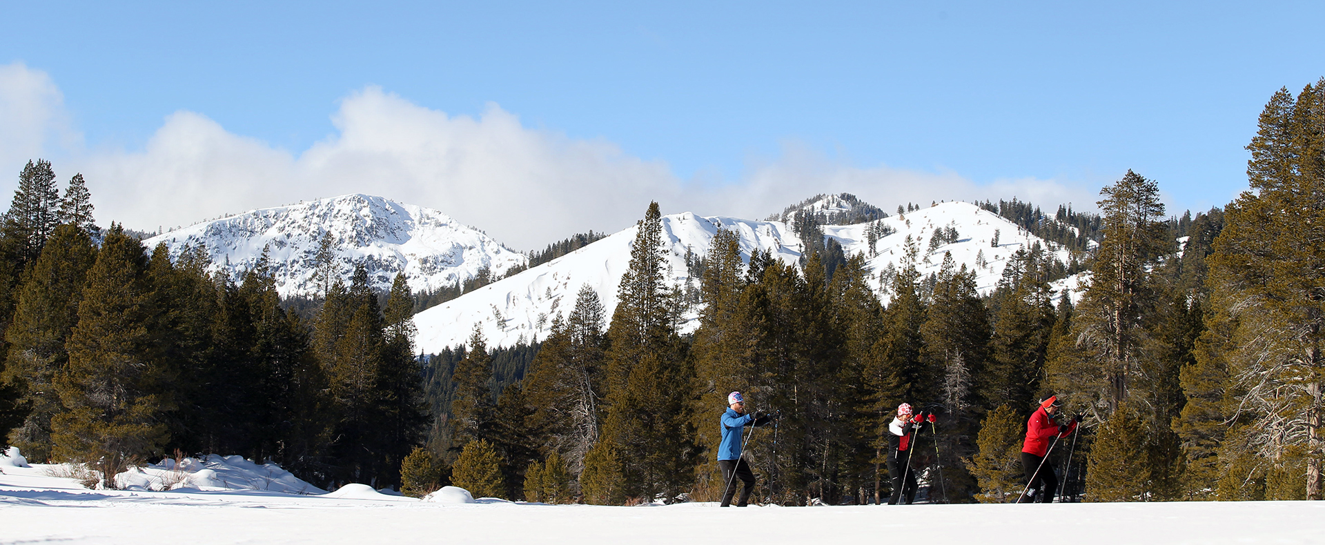 Page header image