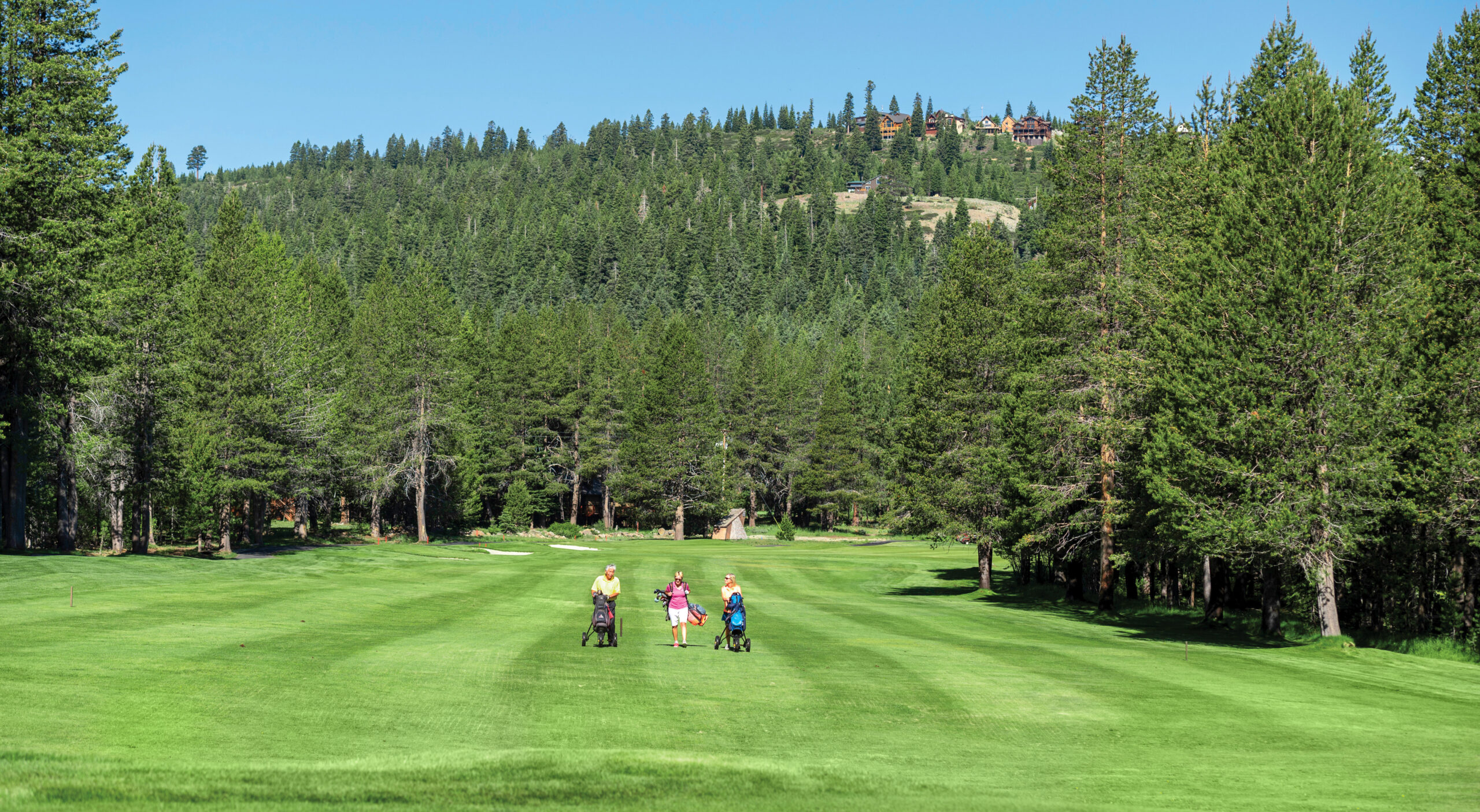 The Grass is Greener on Tahoe Donner's Side