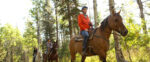 Trick n’ Trail Riding Retreat with Kansas Carradine