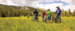 End of Season Sale at Bikeworks