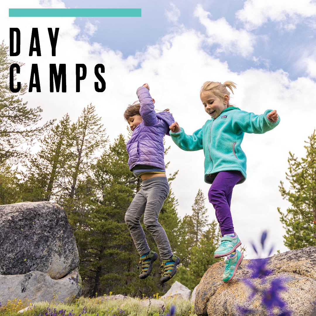 2023 Day Camps Learn More Button