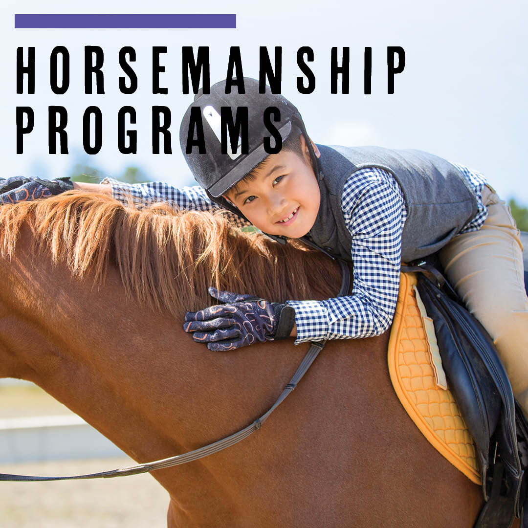 2023 Horsemanship Camps Learn More Button