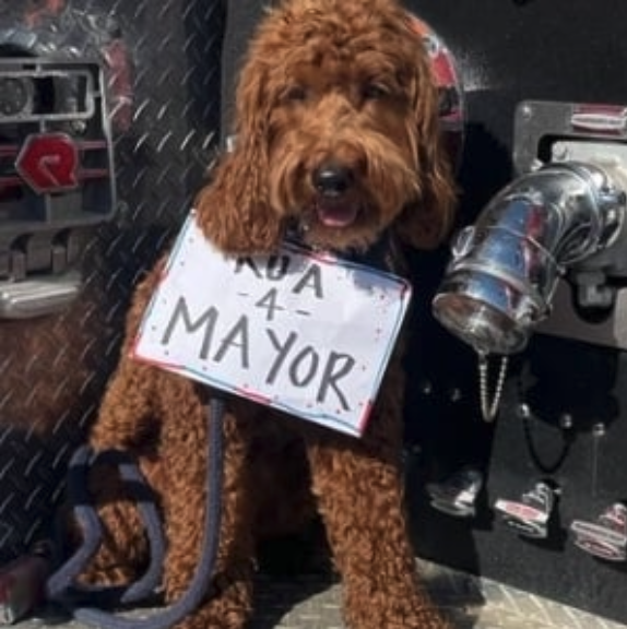 Rua for dog mayor campaign