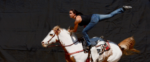 Heart-Based Horsemanship Clinic