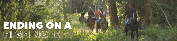 Horseback riding through the trees