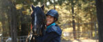 Harmony and Horses feature story image