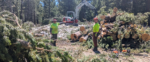 Wildfire Defensible Space Compliance Webinar