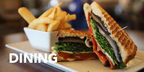 Background image showing a veggie panini and french fries, which reads, 