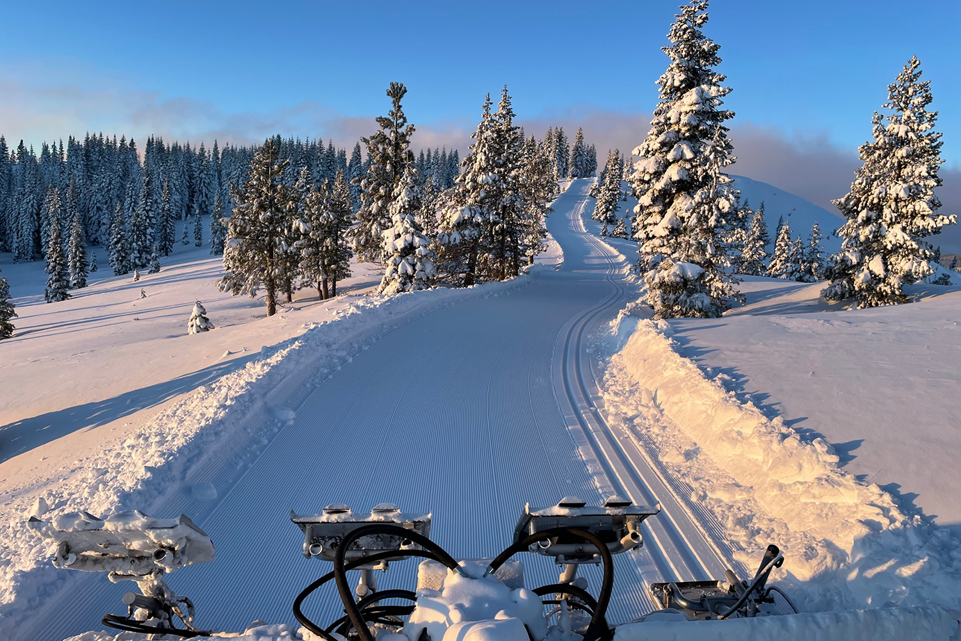 TDXC NOW OPEN1382x922 mobile image