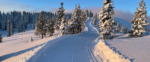 Winter Speaker Night: U.S. XC Skiing: Where We Are Now + What’s Ahead