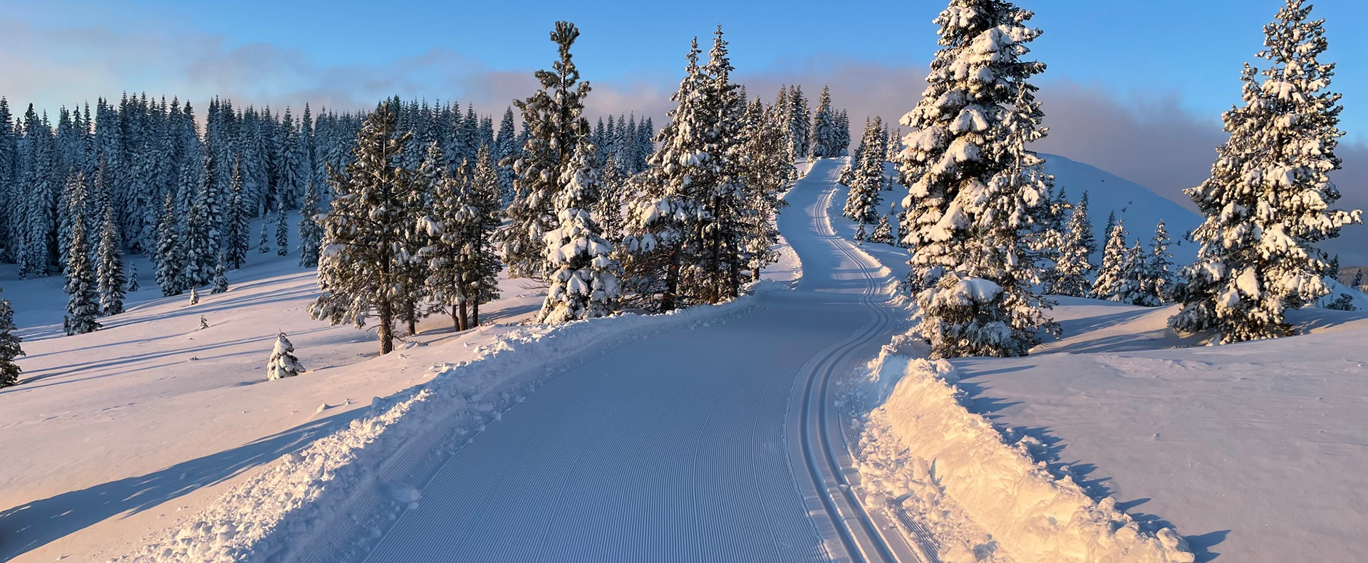 TDXC NOW OPEN1920x790 homepage image