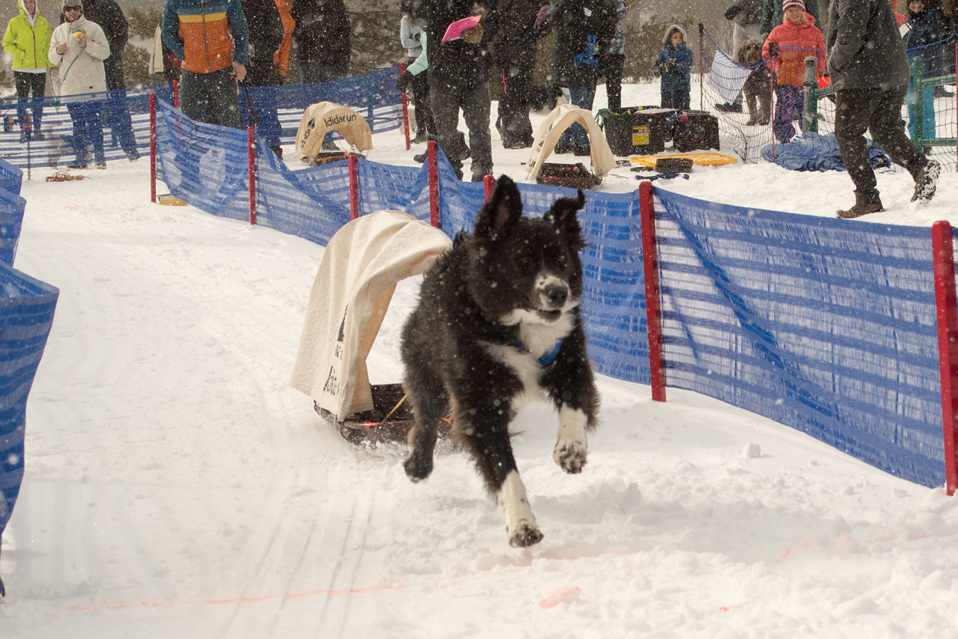 1382x922_Ididarun_Mobile image