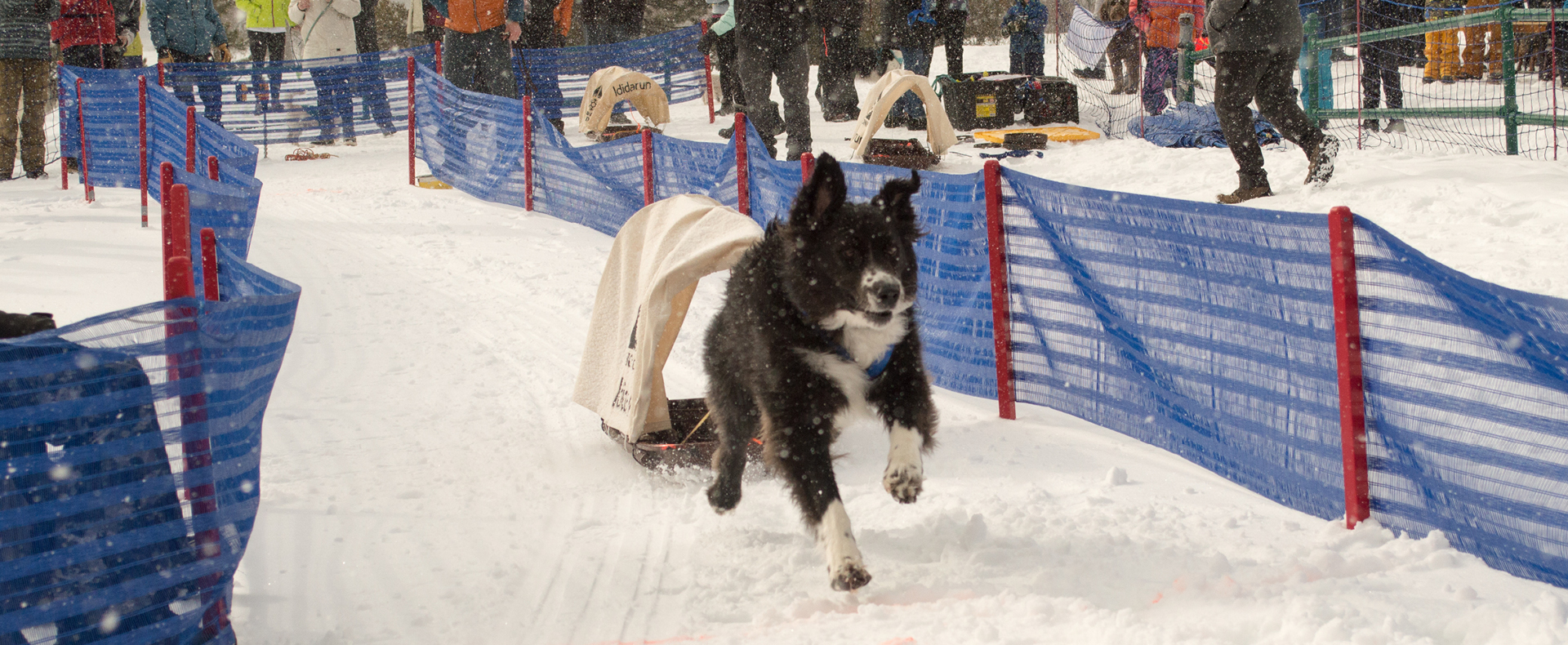 1920x790_Ididarun_Web image