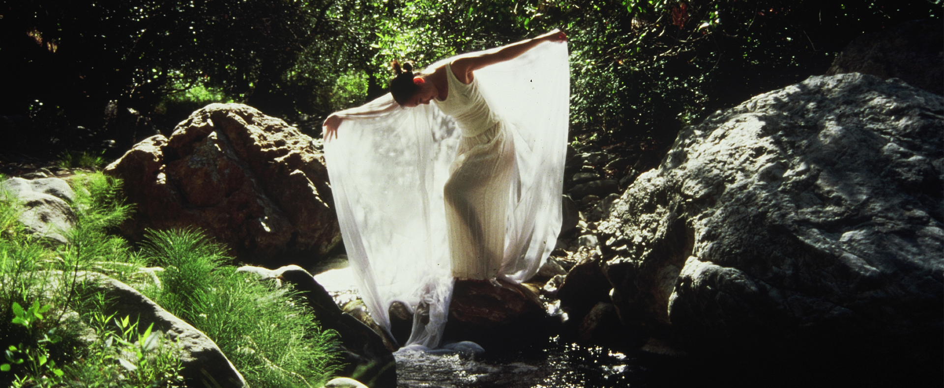 Trails & Vistas Art Hikes Return to Tahoe Donner