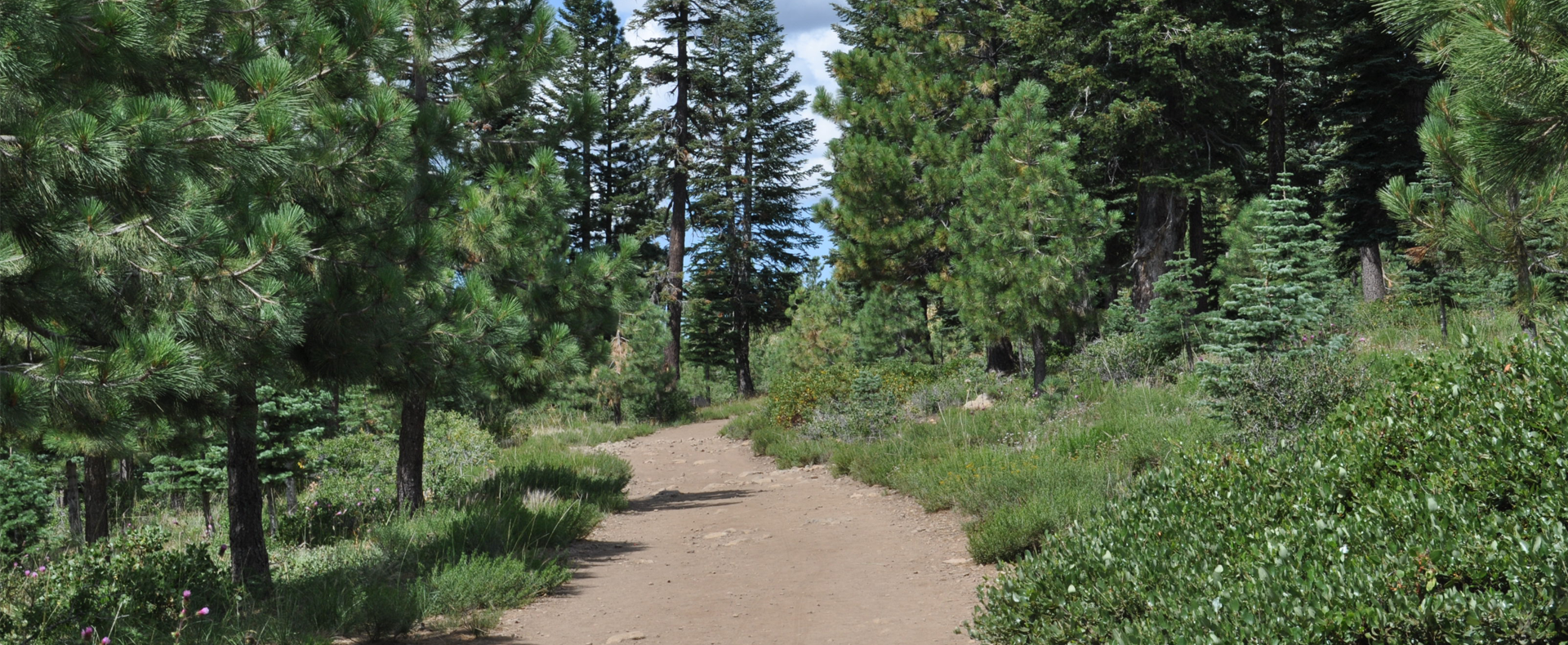 An Exciting New Feature Comes to Glacier Way