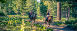 Functional Strength Training For Horseback Riders