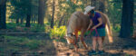 Summer Solstice Renewal Weekend Equine Guided Education + HeartMath®