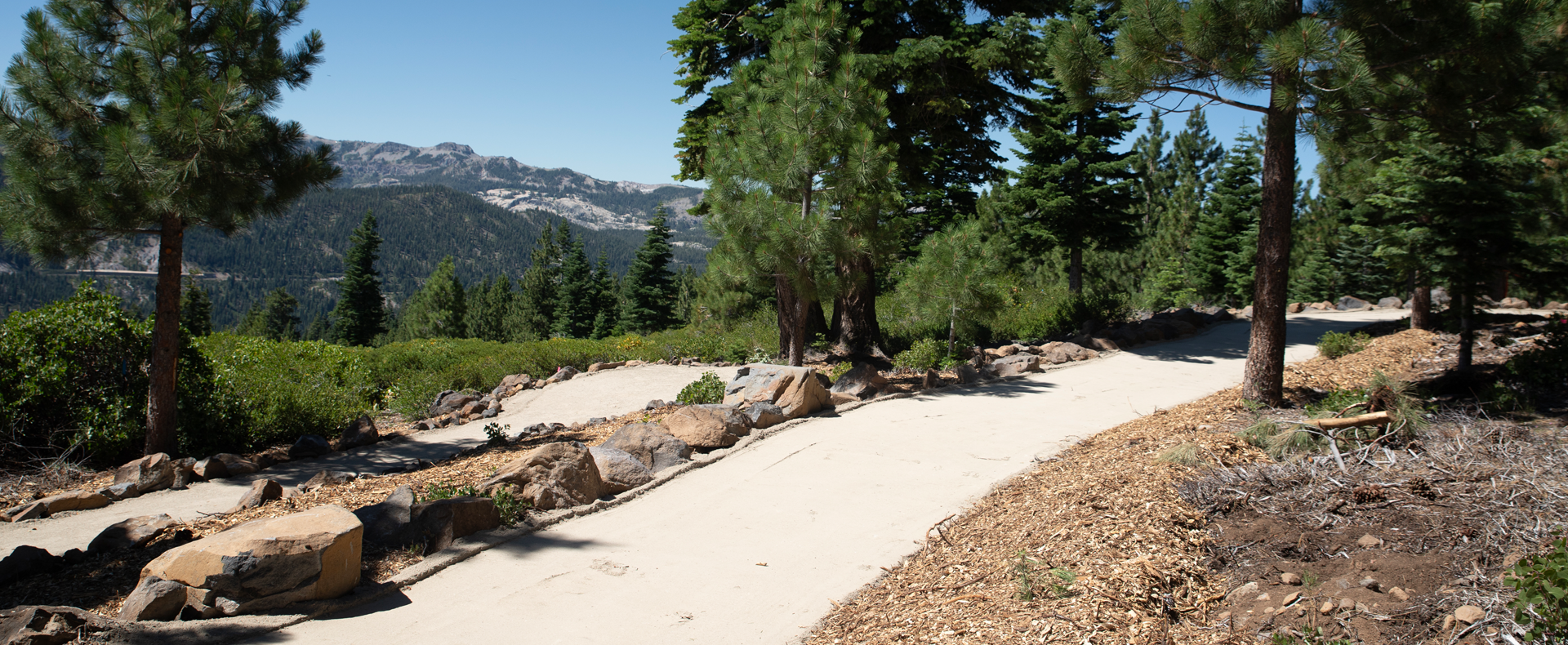 Beyond a Nature Walk