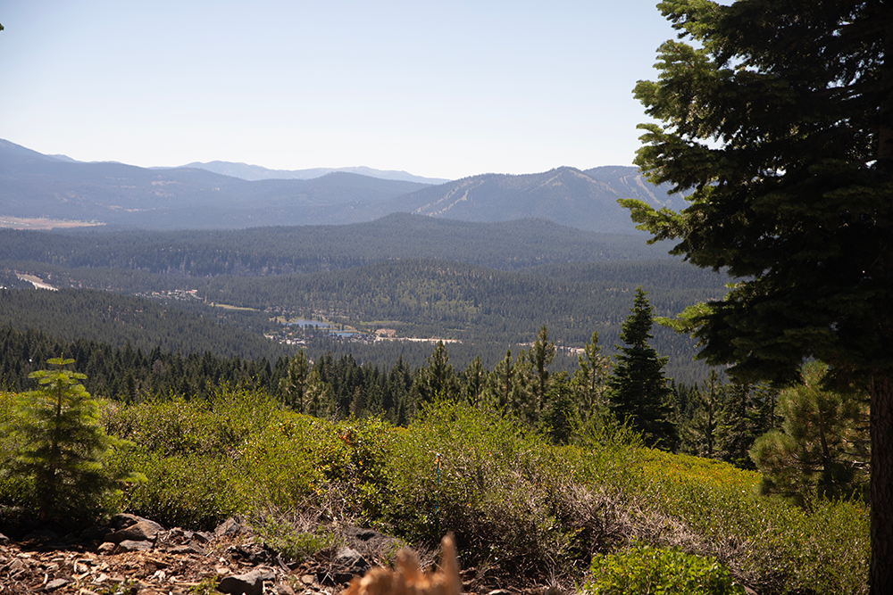 Page header image