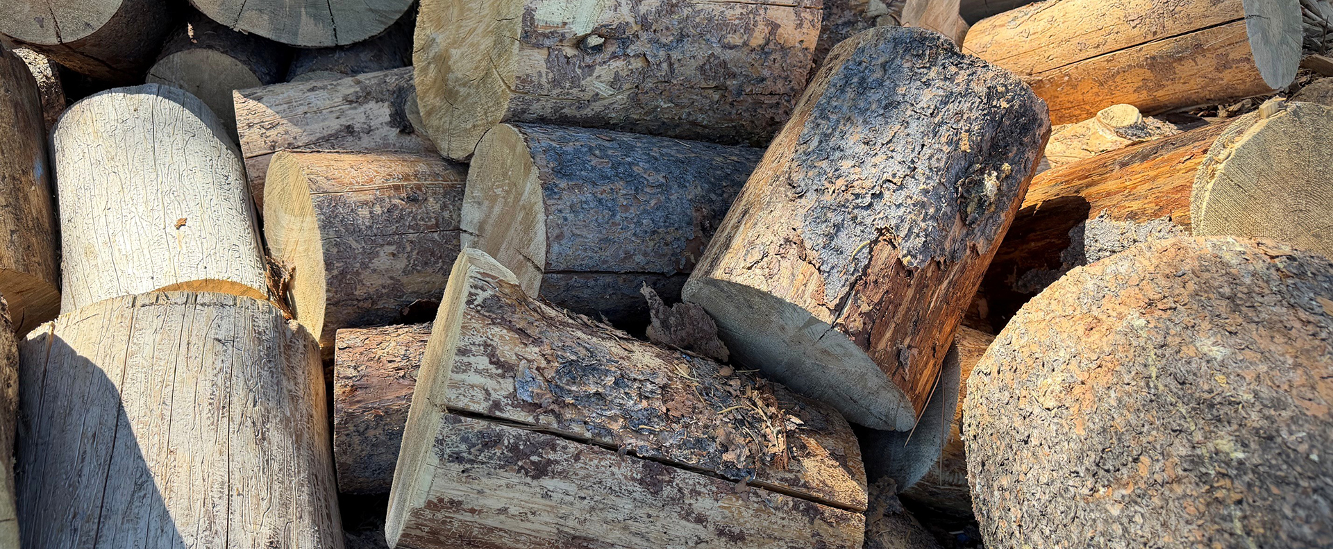 Page header image